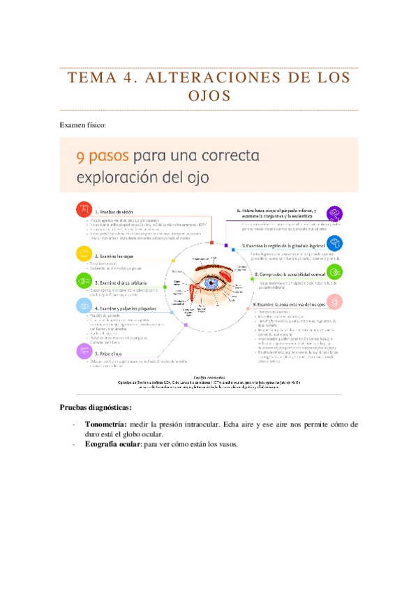 Miniatura del documento SISTEMA-OCULAR-TEMA-4.docx