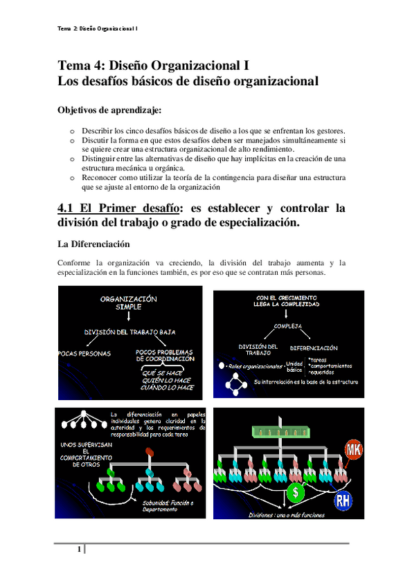 Miniatura del documento tema-4-Diseno-organizacional-I.pdf