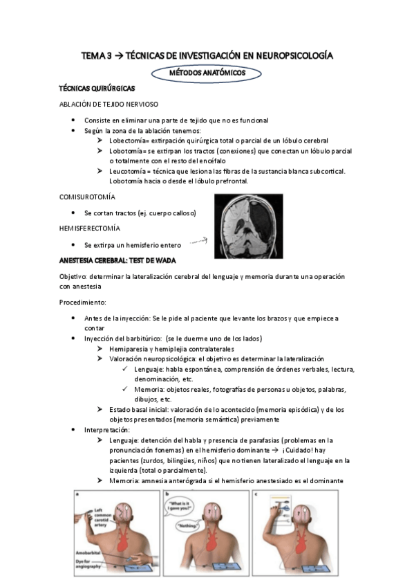 Miniatura del documento TEMA-3-APUNTES.pdf