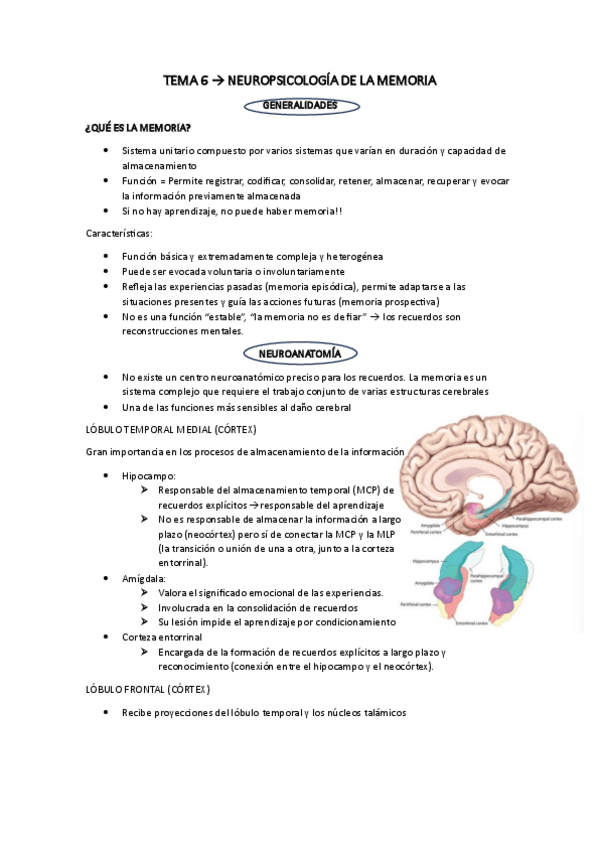 Miniatura del documento TEMA-6-APUNTES.pdf