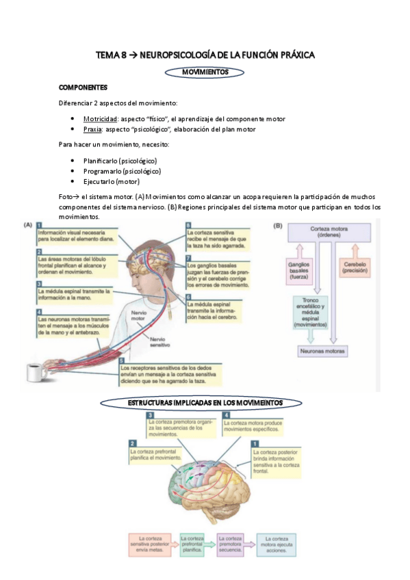 Miniatura del documento TEMA-8-APUNTES.pdf