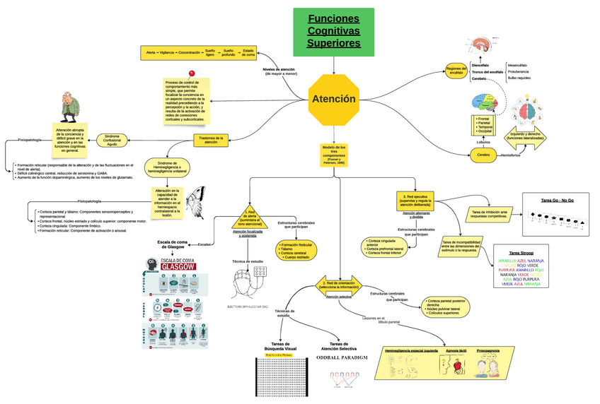 Miniatura del documento UC1-mapa-conceptual.pdf
