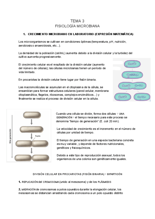 Miniatura del documento MICROBIOLOGIA-MARINA-tema-3.pdf