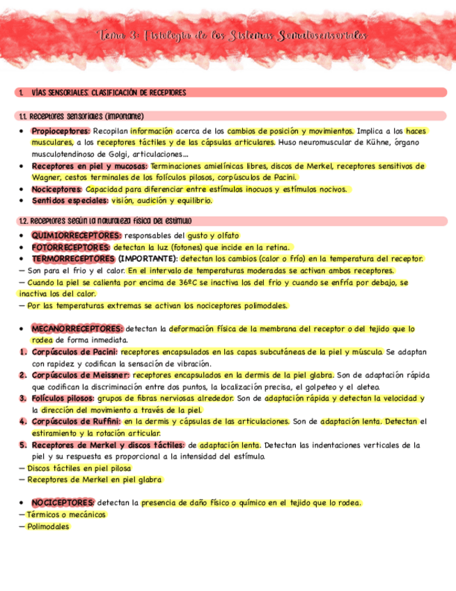 Miniatura del documento TEMA-3-FISIOLOGIA-DE-LOS-SISTEMAS-SOMATOSENSORIALES-Primero-de-enfermeria.pdf