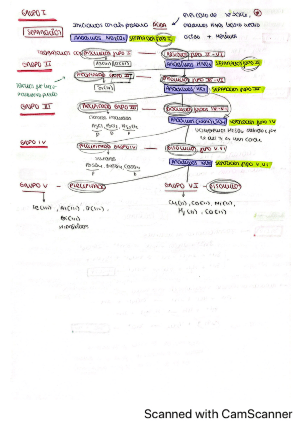 Miniatura del documento CamScanner-06-06-2024-15.49.pdf