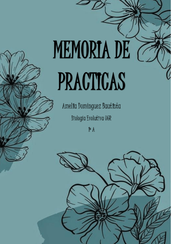 Miniatura del documento Memoria-de-practicas.pdf