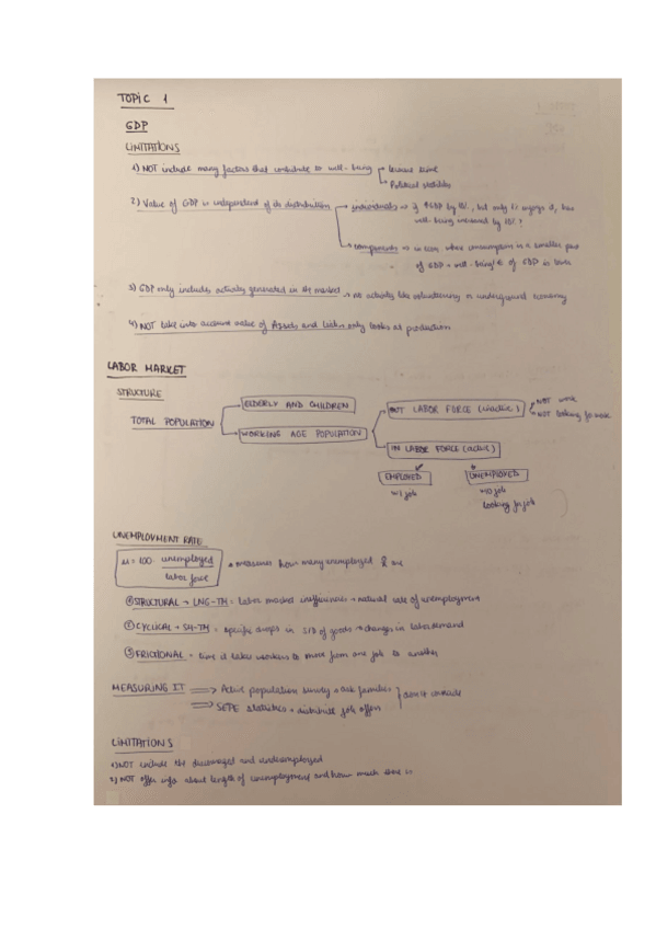 Miniatura del documento MACRO-RESUMEN-A-MANO.pdf