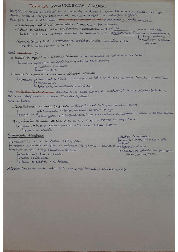 Miniatura del documento RESUMEN-temas-20-22.pdf