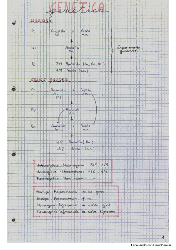 Miniatura del documento GENETICA-1-PARCIAL.pdf