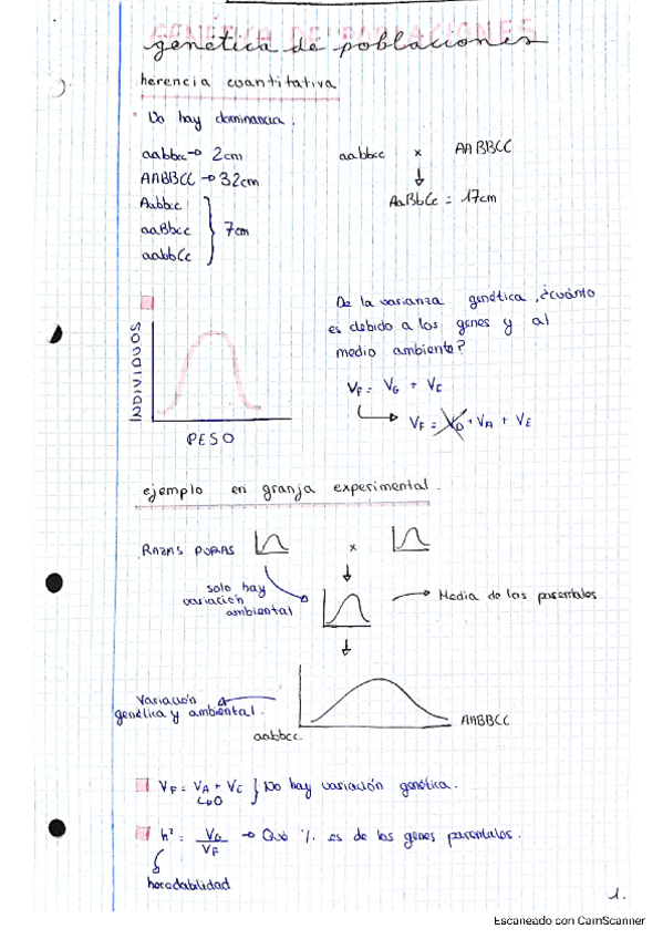 Miniatura del documento GENETICA-2-PARCIAL.pdf