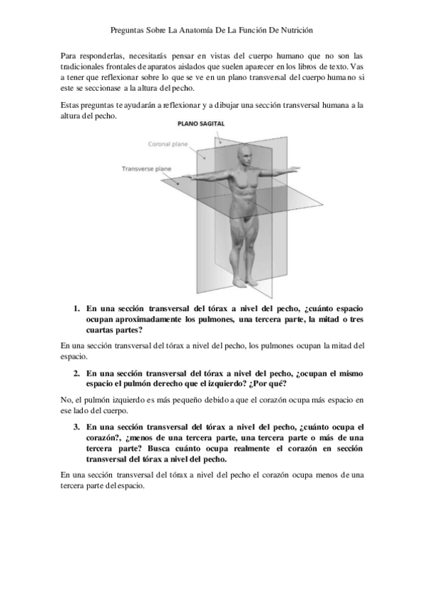 Miniatura del documento Preguntas-Anatomia-Humana.pdf
