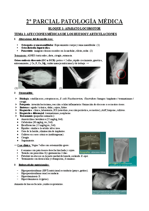 Miniatura del documento Apuntes-2o-parte-comp.pdf