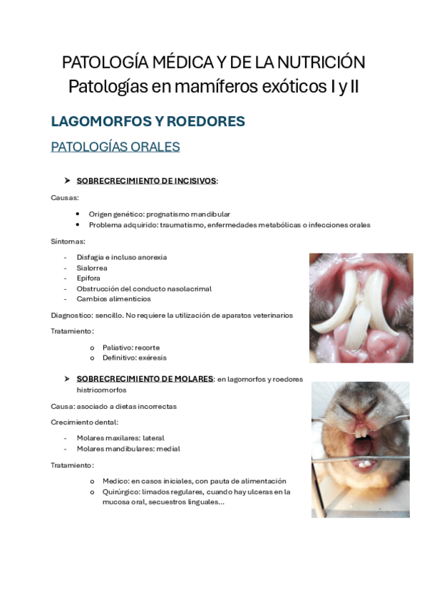 Miniatura del documento MEDICA-Patologias-en-mamiferos-exoticos-I-y-II.pdf