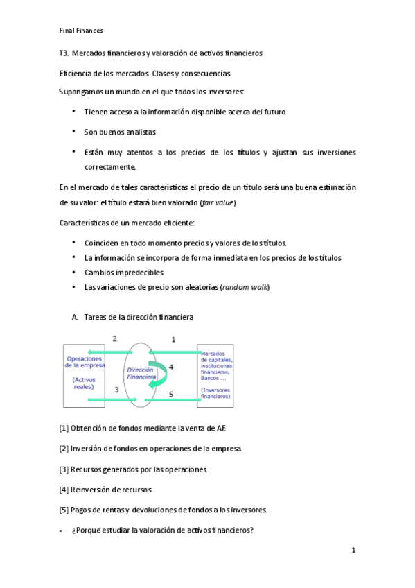 Miniatura del documento FinanceSfinal.pdf