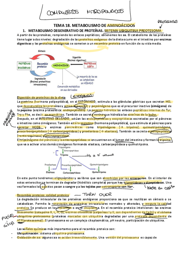 Miniatura del documento T18-20-MET-COMP-NITRO.pdf