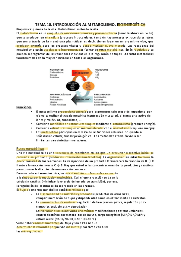 Miniatura del documento T10-15-METABOLISMO-HC-1.pdf