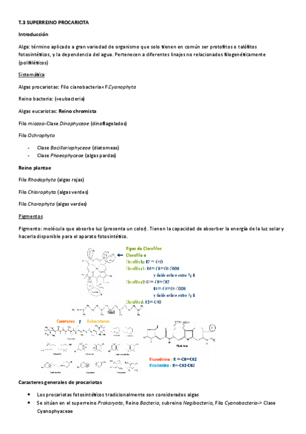 Miniatura del documento Botanica-3-4-y-5.pdf