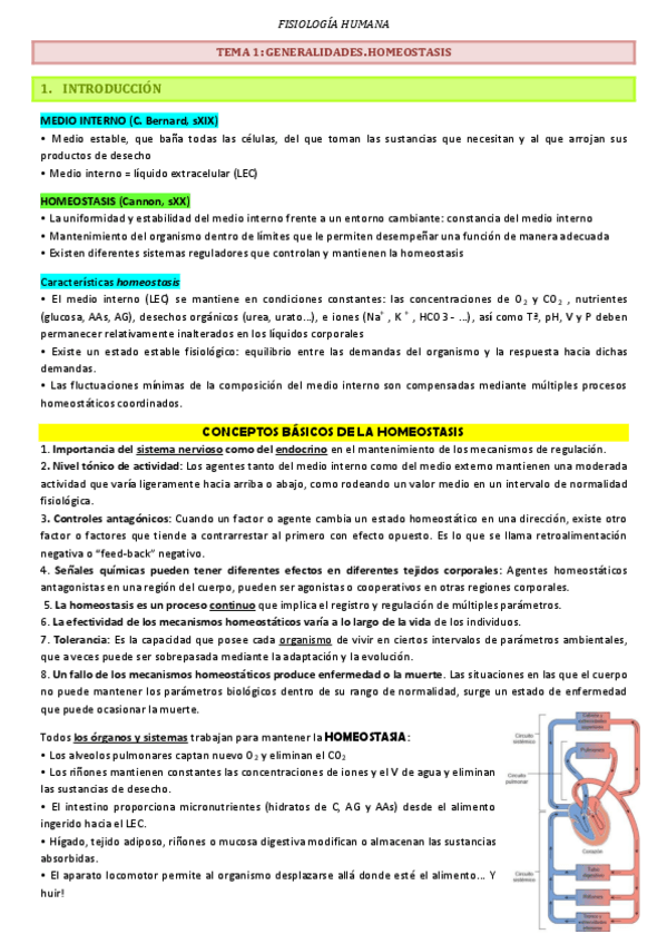 Miniatura del documento Apuntes-Fisiologia-Humana.pdf