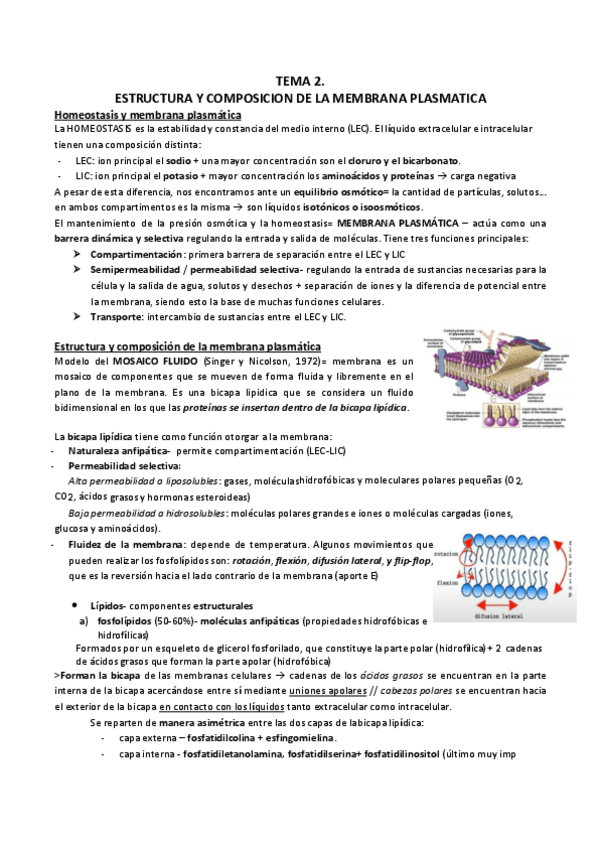 Miniatura del documento T-2.FISIOLOGIA-DEL-NERVIO.pdf