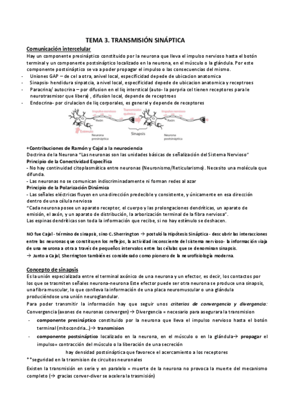 Miniatura del documento T-3.-TRANSM.SINAPTICA.pdf