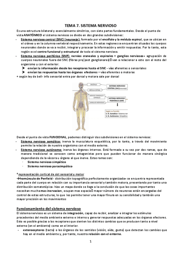 Miniatura del documento T-7-9.SN-SENSORIAL.pdf