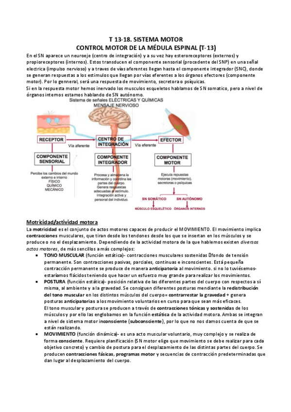 Miniatura del documento T-13-18.SIST-MOTOR.pdf