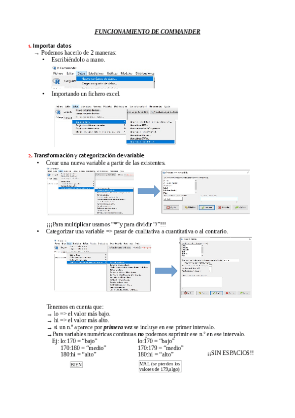 Miniatura del documento INTRUCCIONES-COMMANDER.pdf