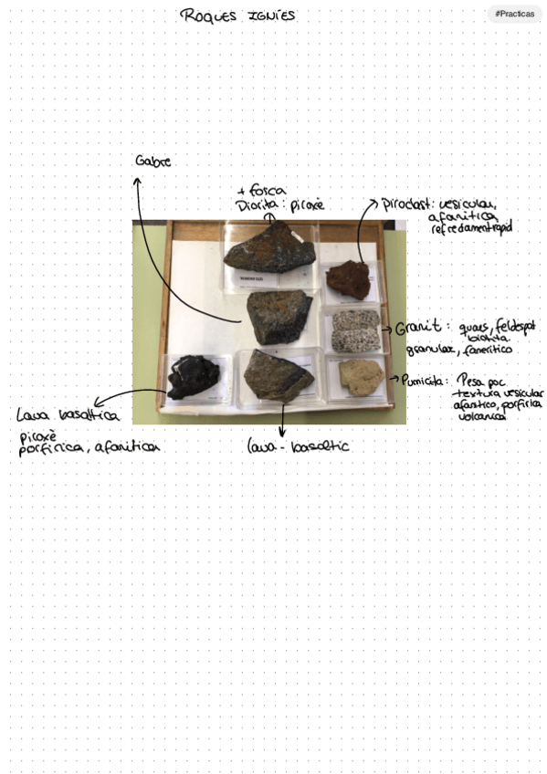 Miniatura del documento Apuntes-con-fotos-para-el-examen-practico.pdf