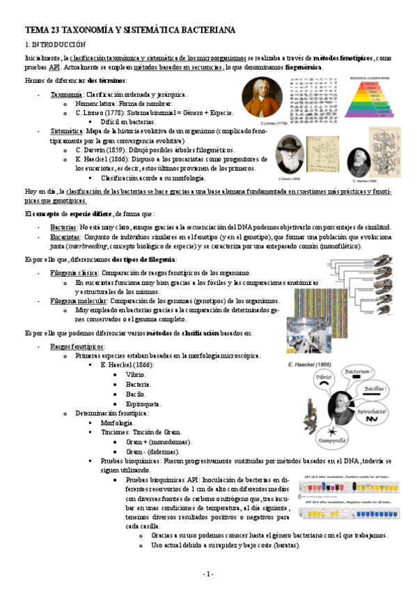 Miniatura del documento MICROBIOLOGIA-TEMA-23-TAXONOMIA-Y-SISTEMATICA-BACTERIANA.pdf
