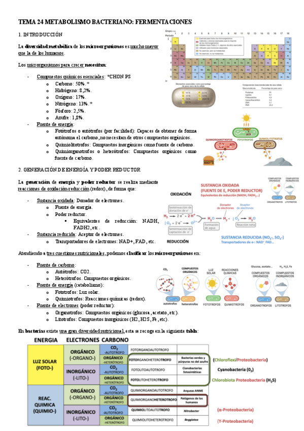 Miniatura del documento MICROBIOLOGIA-TEMA-24-METABOLISMO-BACTERIANO-FERMENTACIONES.pdf