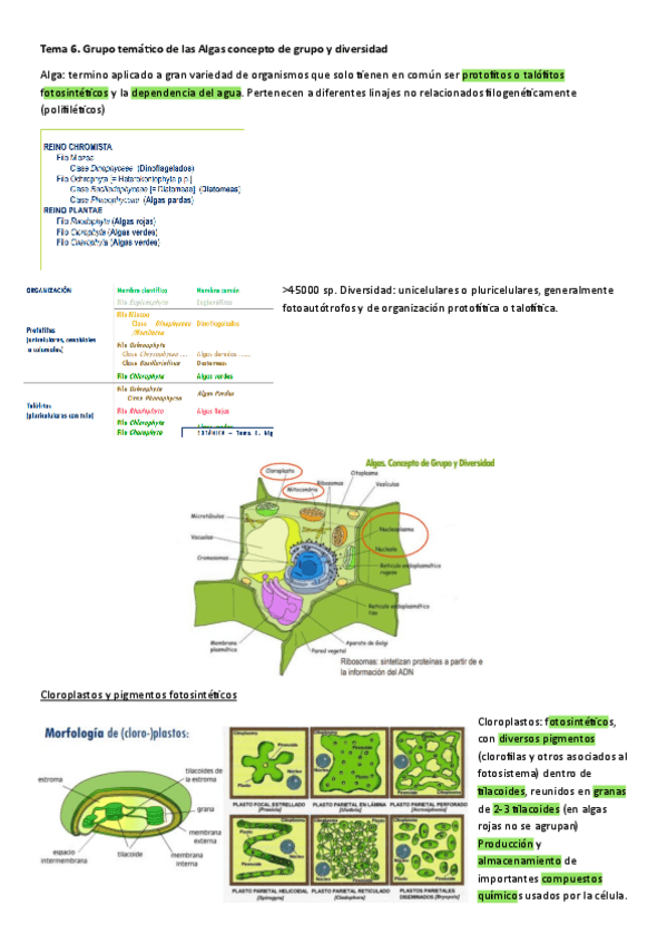 Miniatura del documento temas-6-7-y-8.pdf
