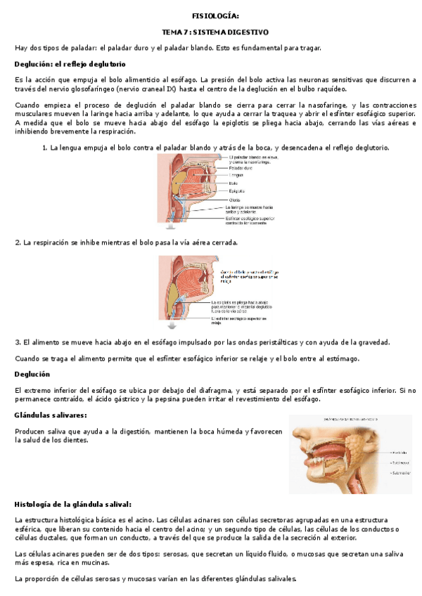 Miniatura del documento Fisiologia-temas-7-12.pdf