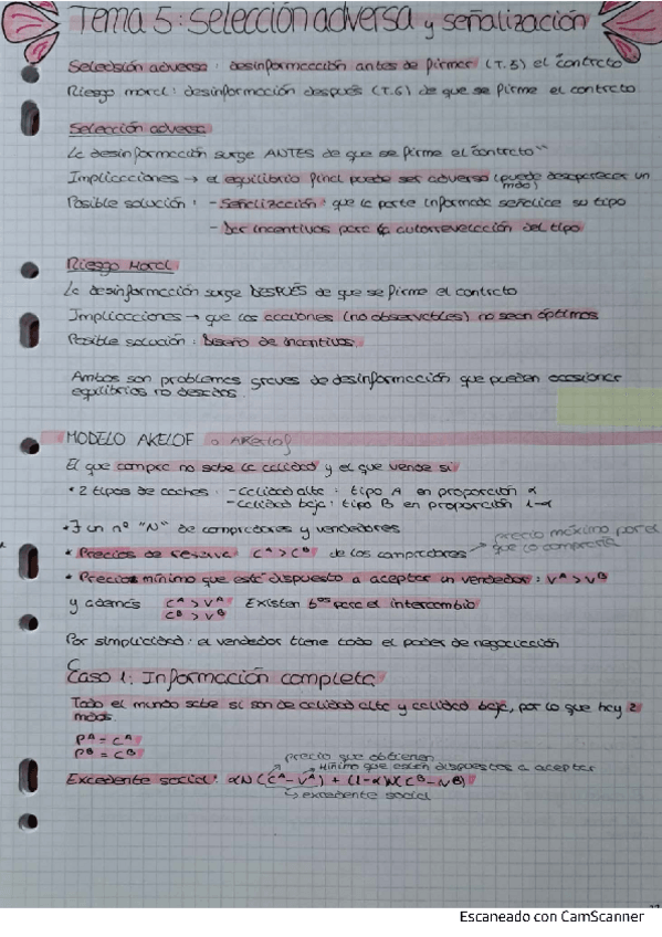 Miniatura del documento tema-5-incertidumbre.pdf