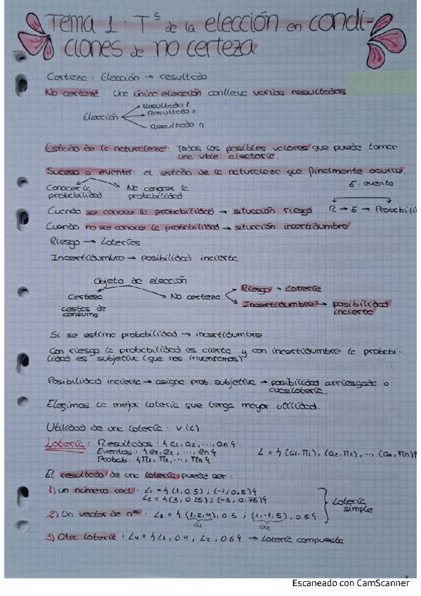 Miniatura del documento tema-1-incertidumbre.pdf