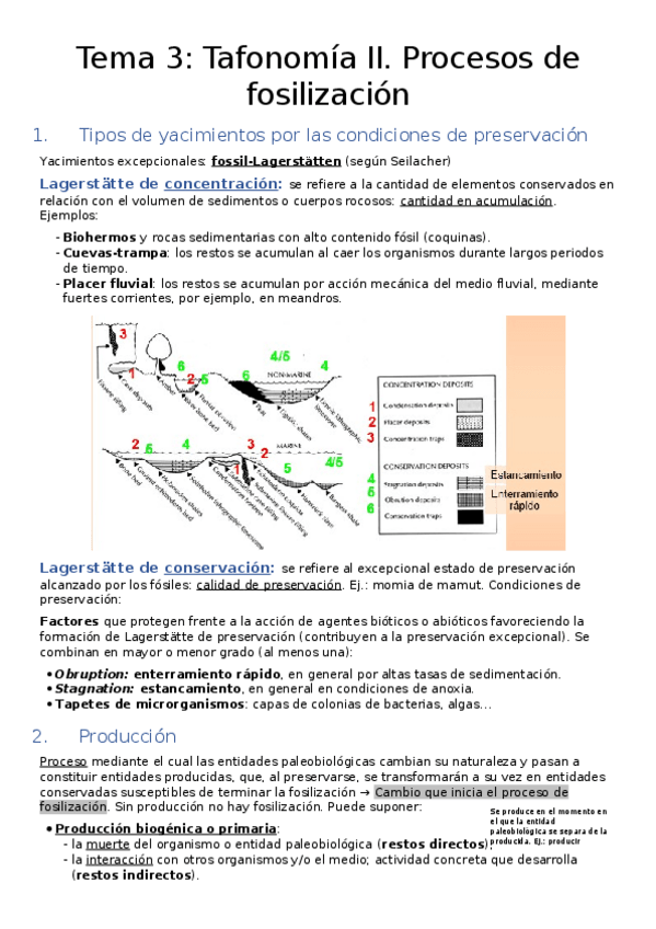 Miniatura del documento Tema 3. Tafonomía II- procesos de fosilización.docx