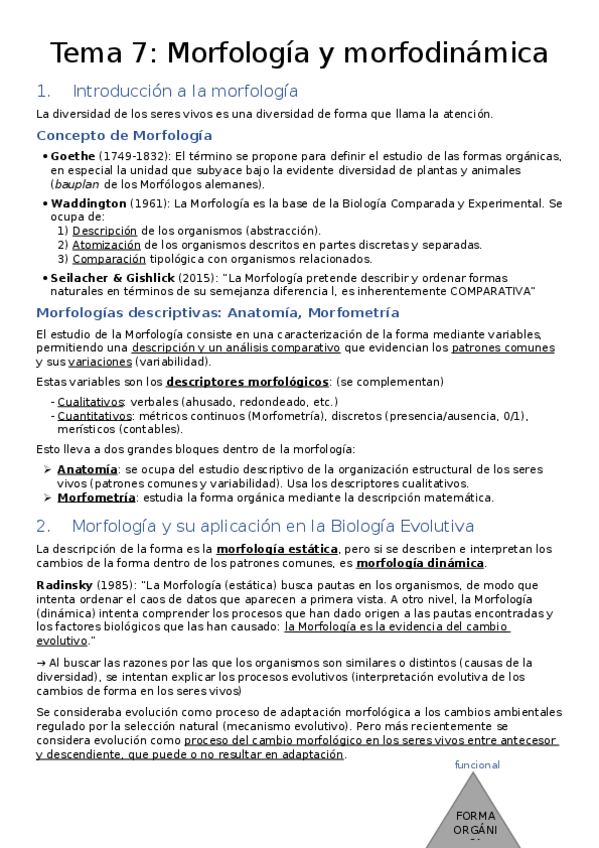 Miniatura del documento Tema 7. Morfología y morfodinámica.docx