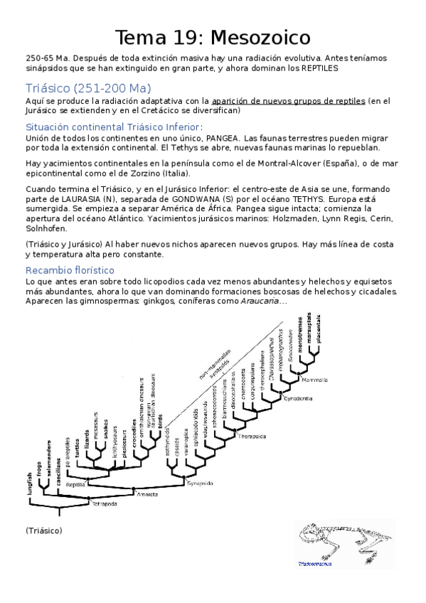Miniatura del documento Tema 19. La vida en el Mesozoico.docx