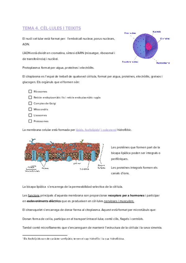 Miniatura del documento TEMA-4.pdf