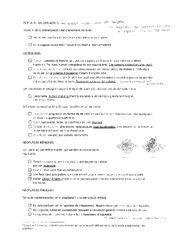 Miniatura del documento TEMA-8.pdf