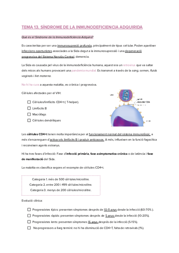 Miniatura del documento TEMA-13.pdf