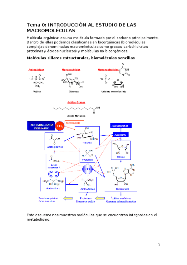 Miniatura del documento Tema 0.docx