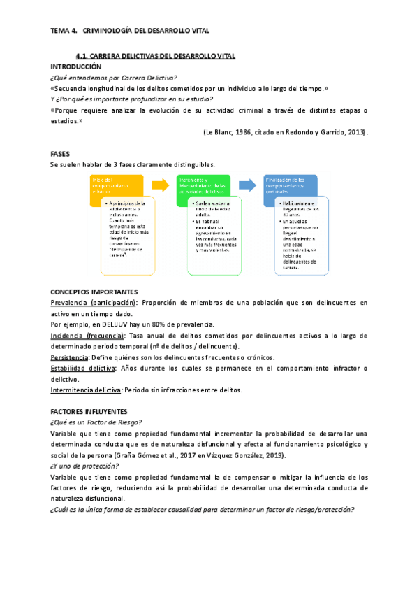 Miniatura del documento TEMA-4.-CRIMINOLOGIA-DEL-DESARROLLO-VITAL.pdf