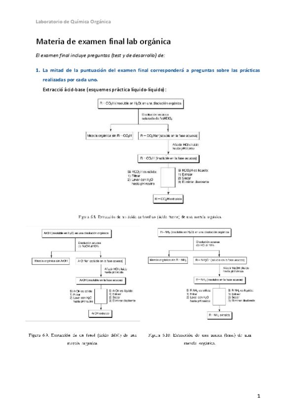 Miniatura del documento Lab-teoria-libro.pdf