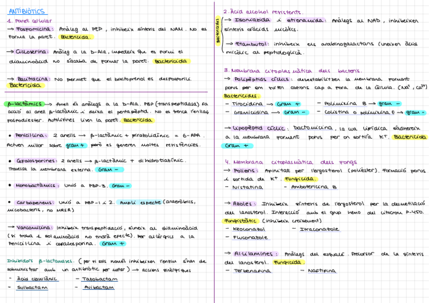 Miniatura del documento Antibiotics--antifungics.pdf