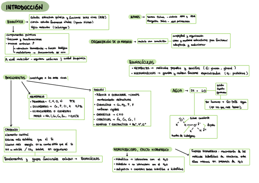 Miniatura del documento Esquemas-Estructural-BIO-I.pdf