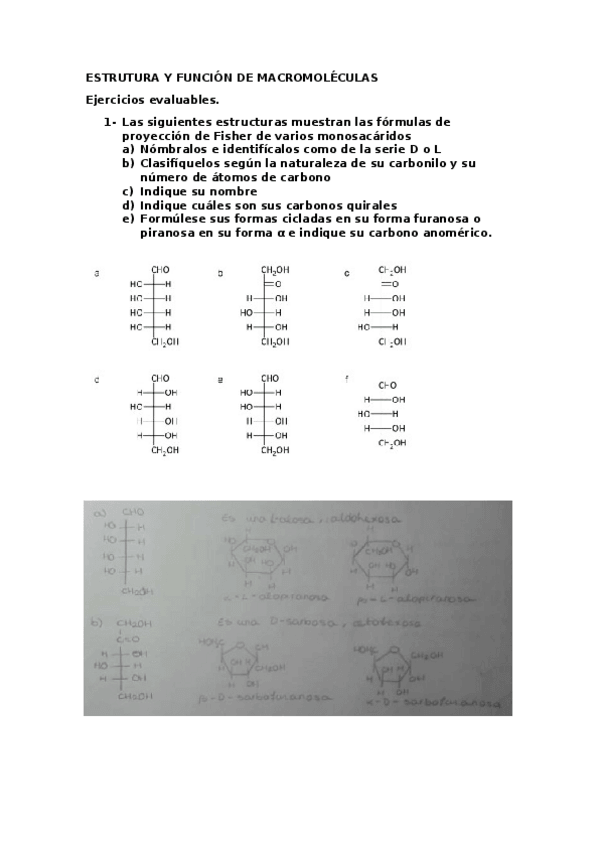 Miniatura del documento Entrega enero.docx