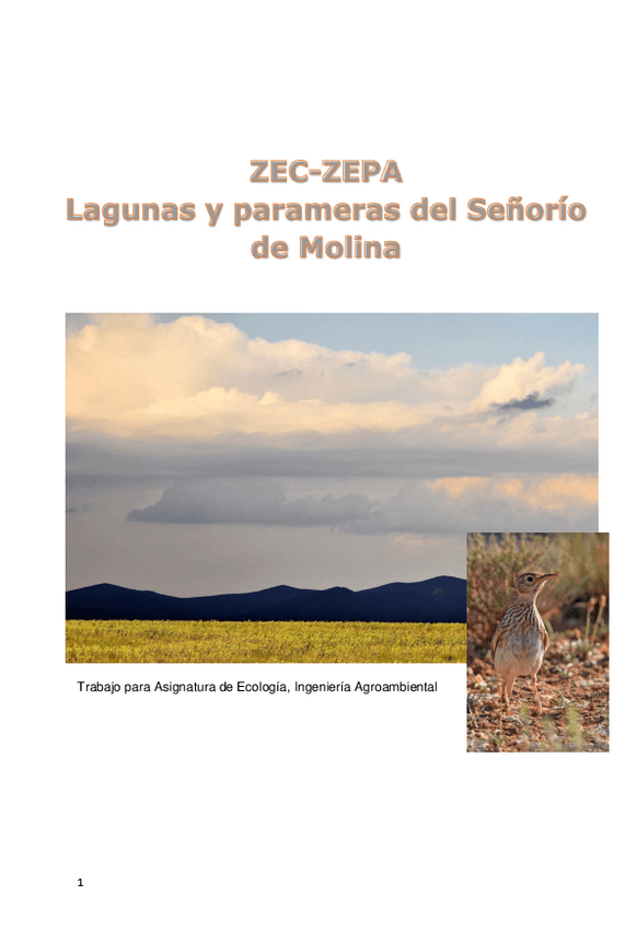 Miniatura del documento Trabajo-para-Asignatura-de-Ecologia.pdf