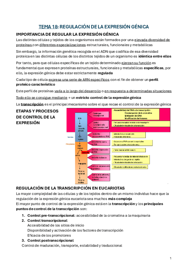 Miniatura del documento BIOQUIMICA-Tema-18.pdf