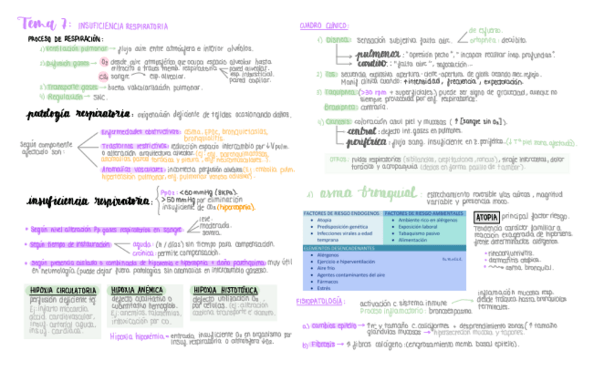 Miniatura del documento BLOQUE-RESPIRATORIO-resumen-esquematico.pdf