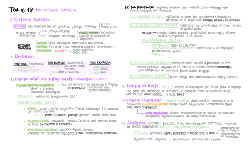 Miniatura del documento BLOQUE-DIGESTIVO-resumen-esquematico.pdf